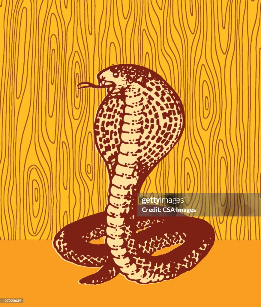 Snake