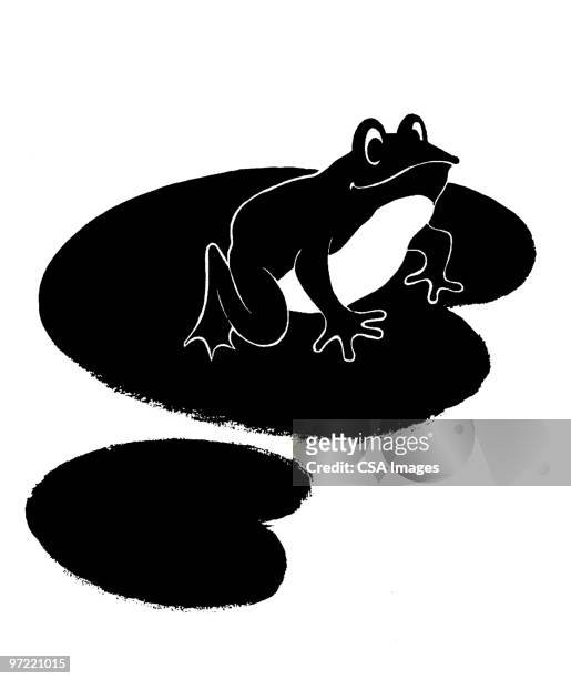 frog - frog silhouette stock illustrations