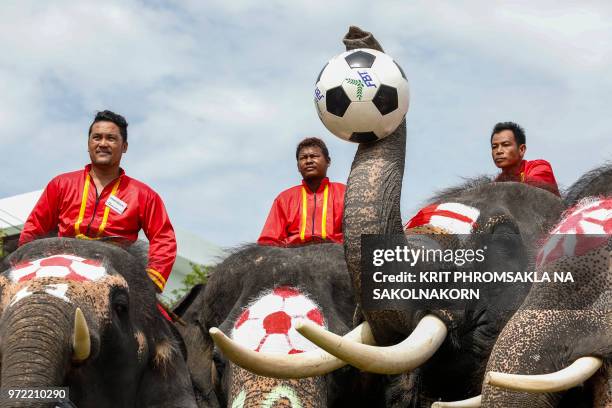 Elephants participate in a football game to kick off the World Cup fever as part of an anti-gambling campaign at the ancient Thai city of Ayutthaya...