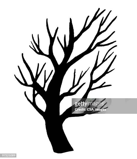 tree - tree trunk stock illustrations