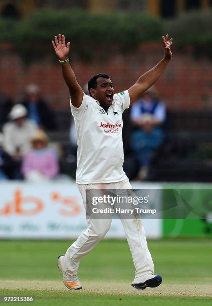 Samit Patel of Nottinghamshire appeals during Day Four of the Specsavers County Championship Division One match between Somerset and Nottinghamshire...
