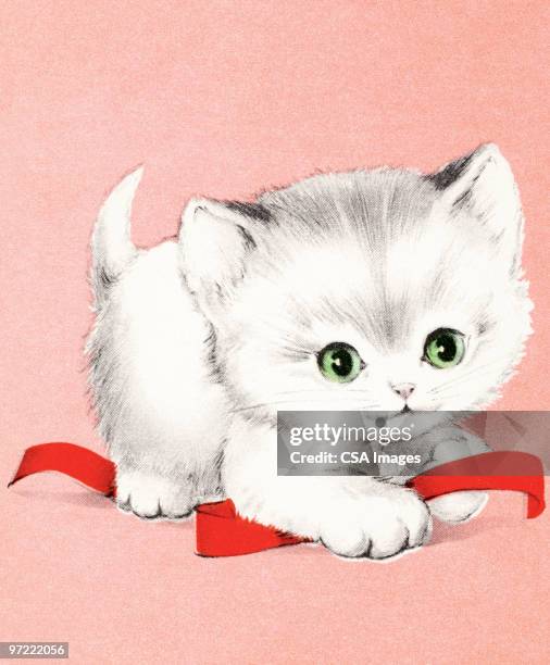 kitten - kitten stock illustrations