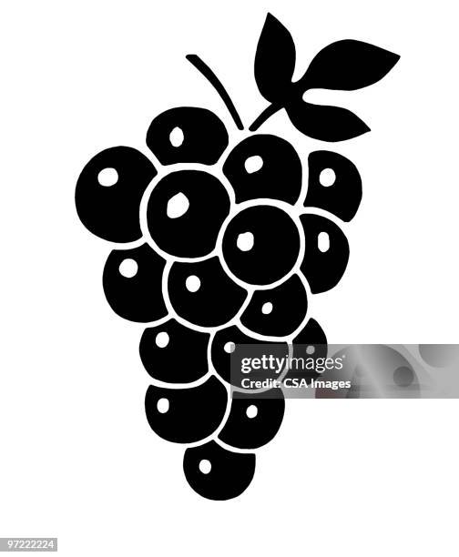 ilustraciones, imágenes clip art, dibujos animados e iconos de stock de grapes - uva