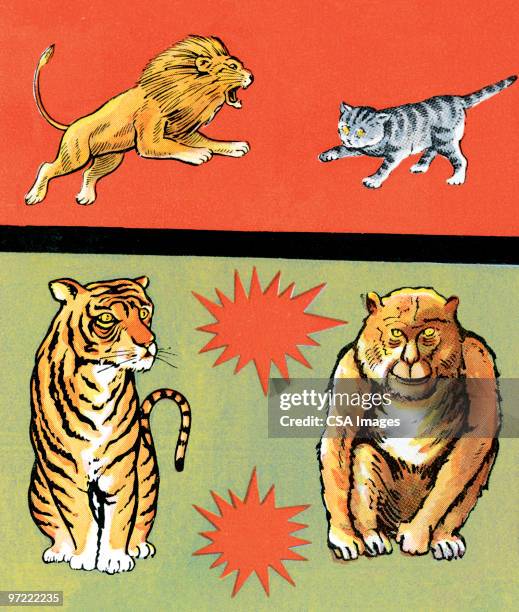 kitty cats gorilla - raubkatze stock-grafiken, -clipart, -cartoons und -symbole