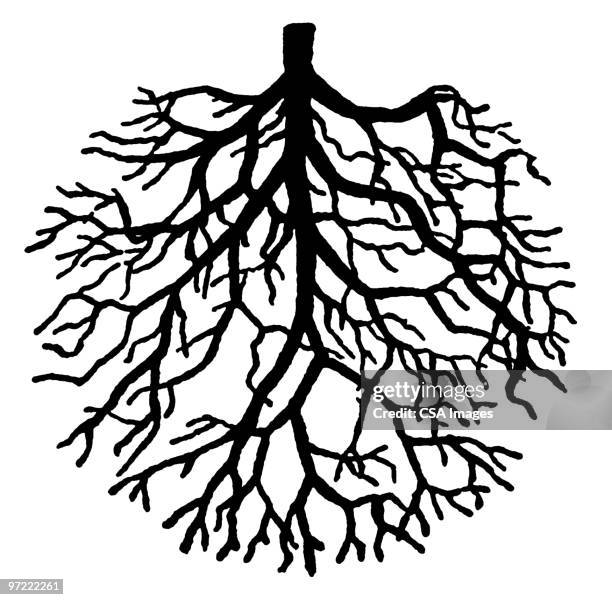 roots - root 幅插畫檔、美工圖案、卡通及圖標