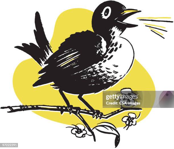 bird on a branch - songbird stock illustrations