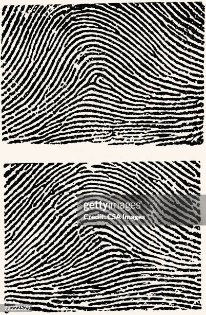 fingerprints - forensic science stock illustrations