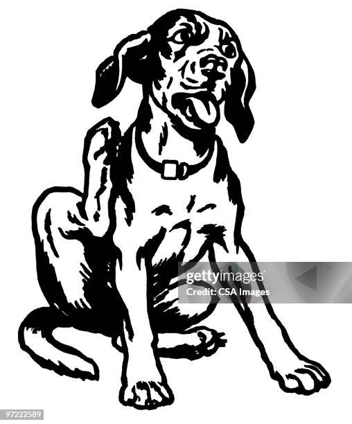 dog - panting stock illustrations