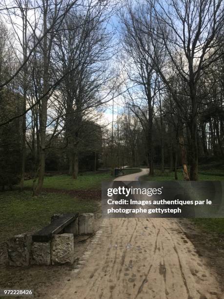 original bench along wet footpath - perspective du photographe bildbanksfoton och bilder