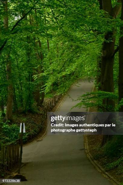 the man walking on shadowy asphalt alley - perspective du photographe bildbanksfoton och bilder