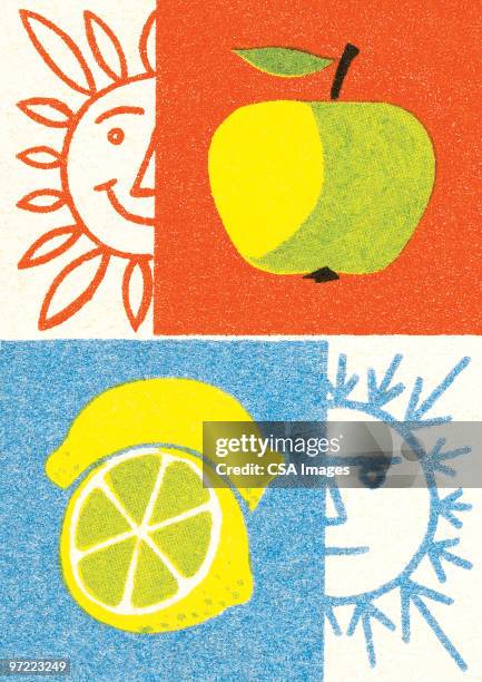 winter summer apple lemon - lemon fruit stock illustrations