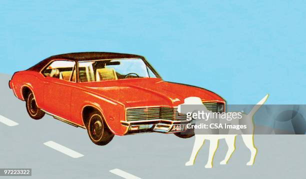 ilustrações, clipart, desenhos animados e ícones de car and dog on road - acidente de carro