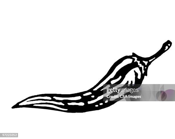bildbanksillustrationer, clip art samt tecknat material och ikoner med pepper - peppar