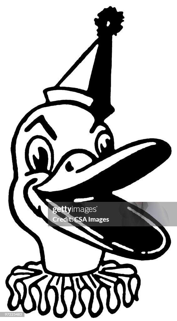 Duck