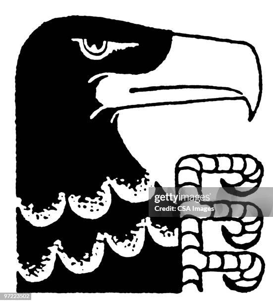 eagle - talon stock illustrations