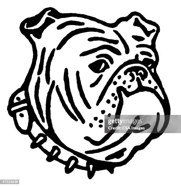 ilustraciones, imágenes clip art, dibujos animados e iconos de stock de dog - bulldog