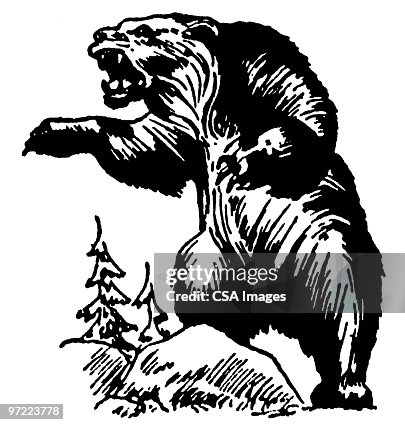 Bear Bear
