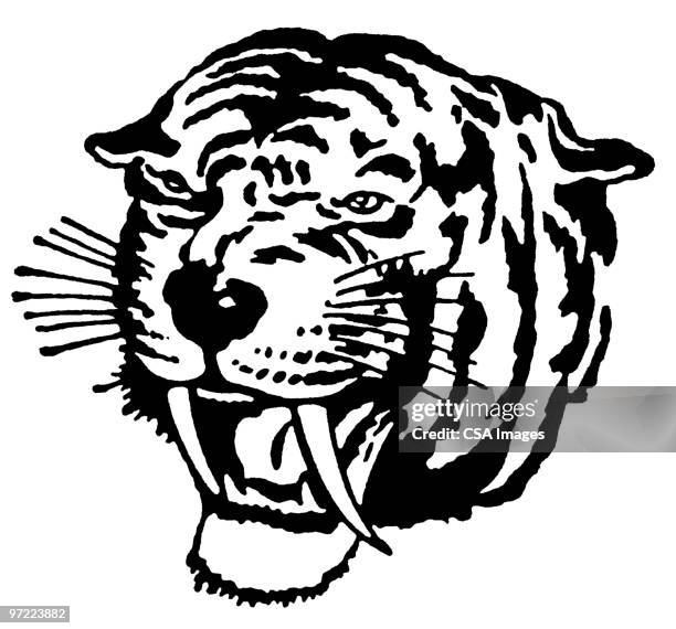ilustrações, clipart, desenhos animados e ícones de tiger - roaring