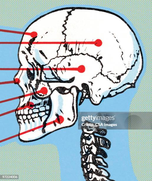 skull and spine - skull xray stock illustrations