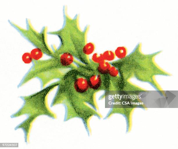 991 What Color Are The Berries Of The Mistletoe Plant Stock Photos ...