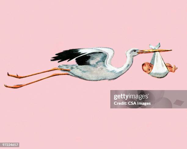 storch lieferung - stork stock-grafiken, -clipart, -cartoons und -symbole