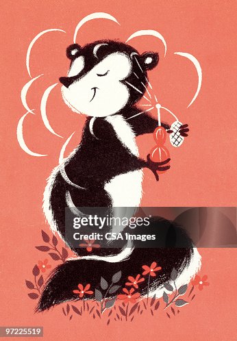 Skunk Skunk