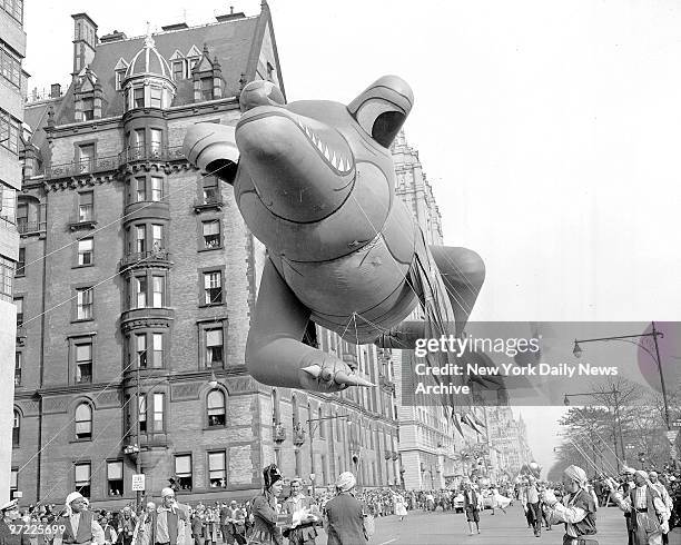Alligator stays aloft in Macy's Thanksgiving Day parade in spite of punctured front leg. The kids admired him.