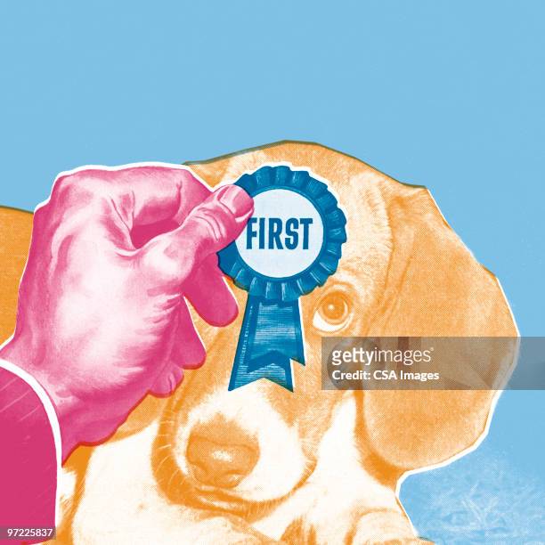 ilustrações de stock, clip art, desenhos animados e ícones de first place ribbon for dog - best in show