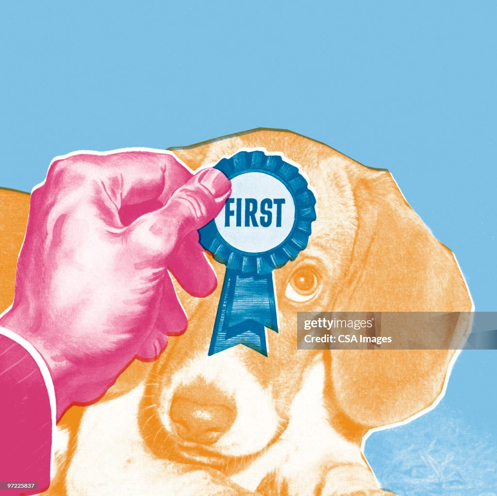 First Place Dog Ribbon First Place Ribbon For Dog High-Res Vector Graphic - Getty Images