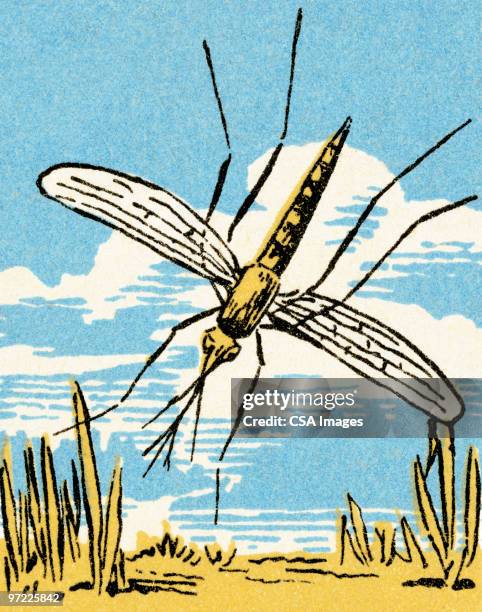 insect - bildtechnik stock-grafiken, -clipart, -cartoons und -symbole