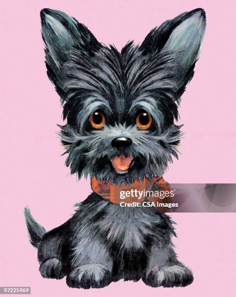 scottie puppy dog - scottish terrier stock illustrations