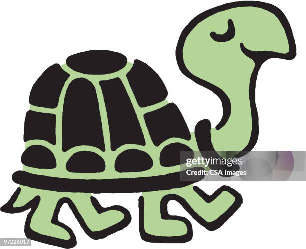 turtle - tortoise stock illustrations