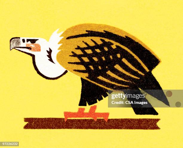 eagle - falcon stock illustrations