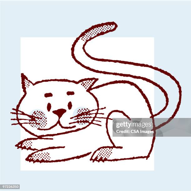 ilustrações de stock, clip art, desenhos animados e ícones de cat - tail