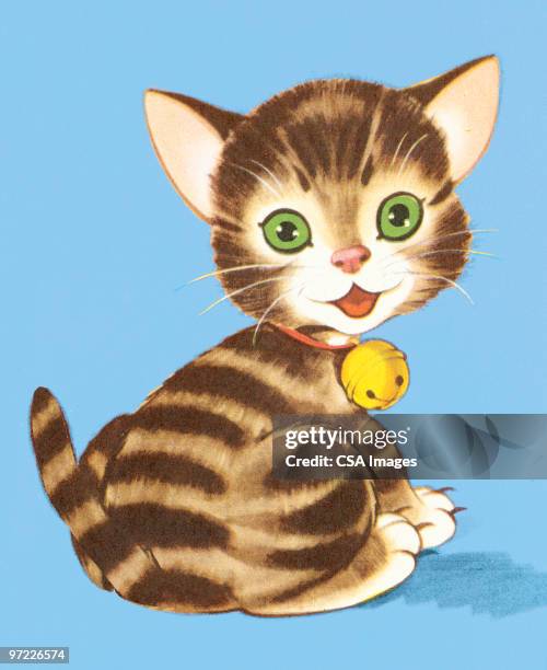 kitten with bell around neck - domestic cat stock illustrations