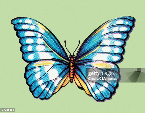 ilustrações de stock, clip art, desenhos animados e ícones de butterfly - moth