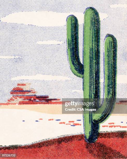 ilustraciones, imágenes clip art, dibujos animados e iconos de stock de cacti in the desert - cacto