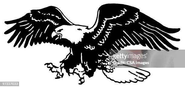 ilustrações, clipart, desenhos animados e ícones de eagle - águia americana