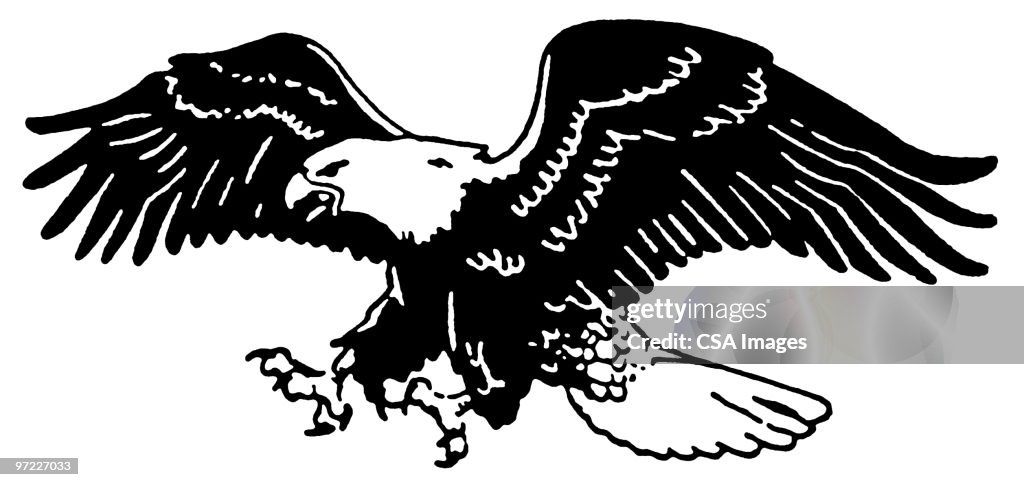 Eagle