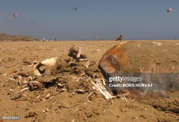 This photo taken on June 10, 2018 shows a dead turtle's carcass on the Prasonisi beach, on the Greek Island of Rhodes. - On June 5, 2018 the United...