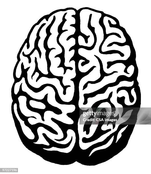 17 791点のヒトの脳イラスト素材 Getty Images 17 791点のヒトの脳イラスト素材 Getty Images