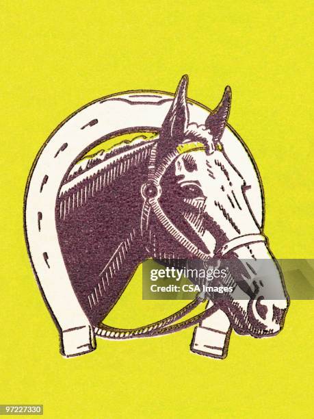 horse - horseshoe stock illustrations