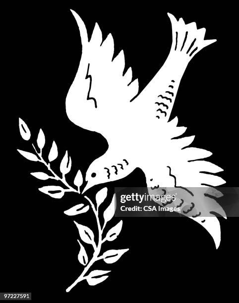 bildbanksillustrationer, clip art samt tecknat material och ikoner med dove with olive branch - mindre duva