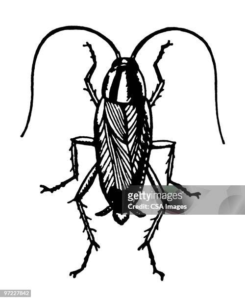 insect - animal antenna stock-grafiken, -clipart, -cartoons und -symbole