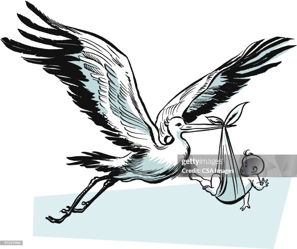 Stork with Baby