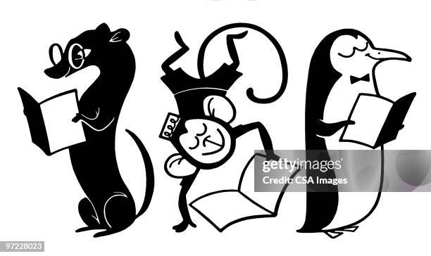 animal students - penguin stock illustrations