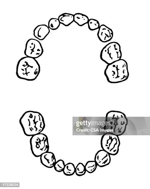 teeth - human teeth illustration stock illustrations