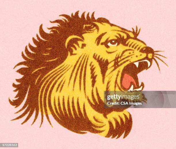 lion - distraught stock illustrations