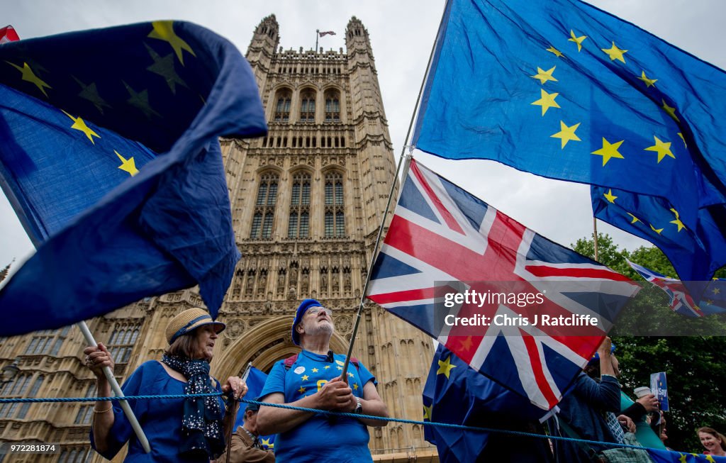Stop Brexit Supporters Rally Ahead Of Parliament Voting On Lords' Amendments