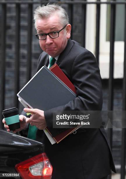 Britain's Environment, Food and Rural Affairs Secretary Michael Gove leaving No10 Downing street after a cabinet meeting, on June 12, 2018 in London,...